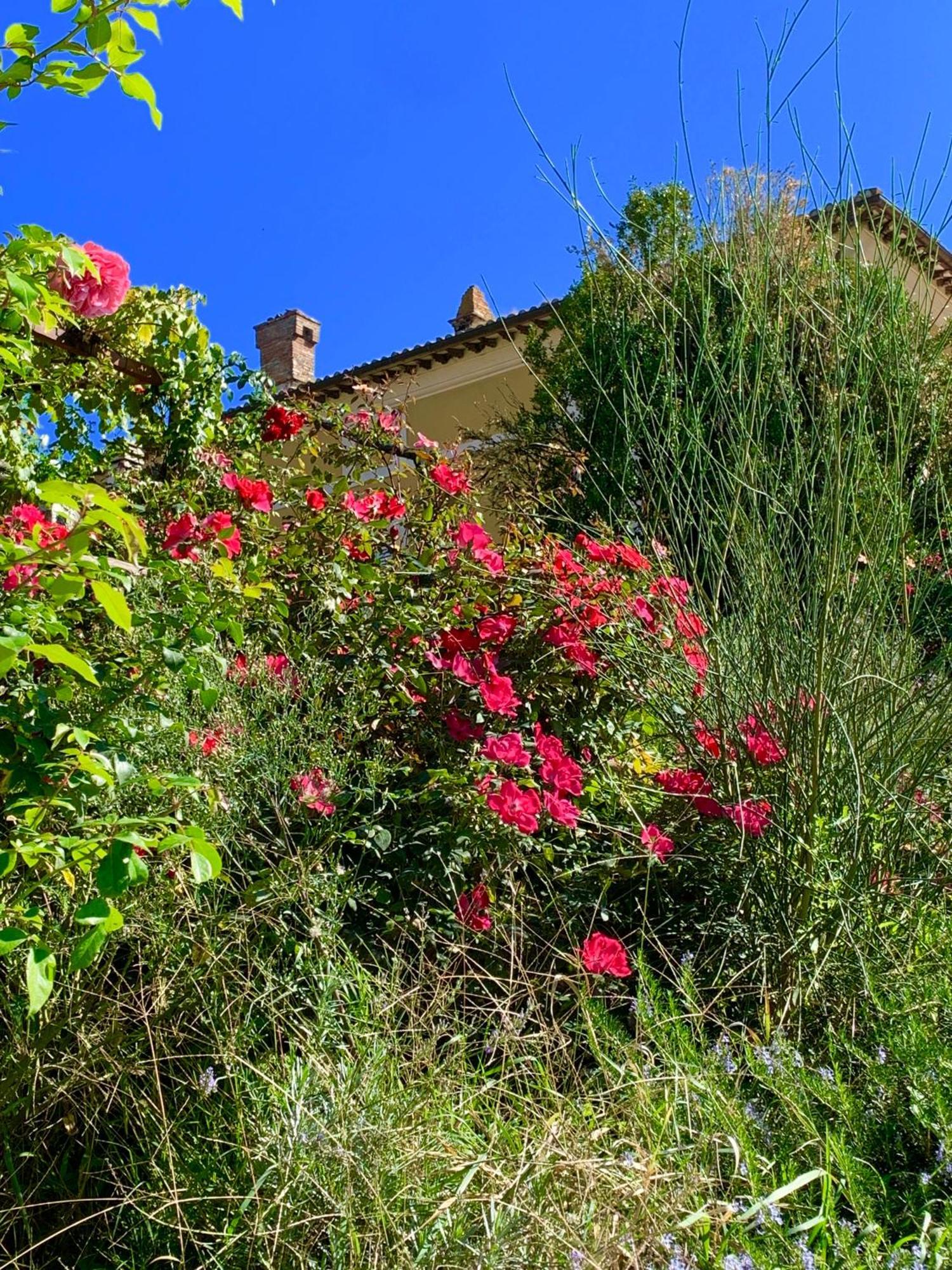 Il Broglino Vila Todi Exterior foto